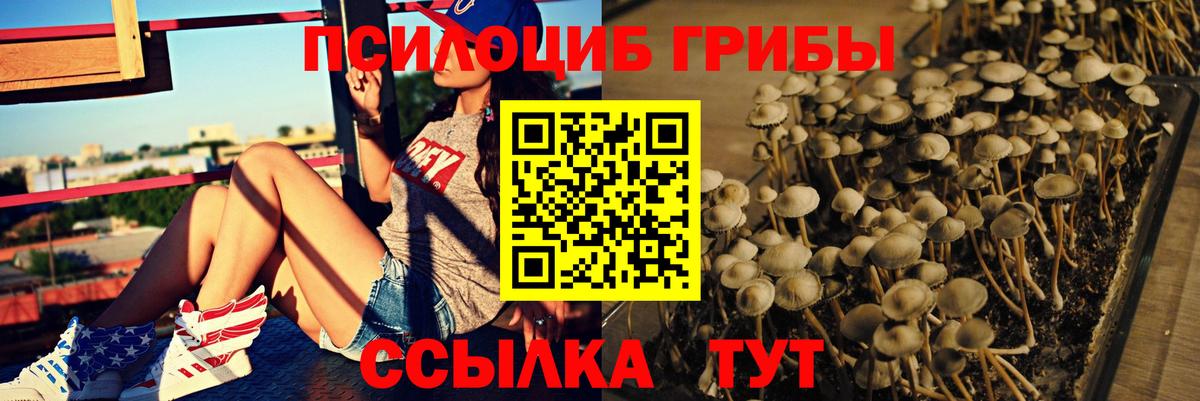 Псилоцибиновые грибы мухоморы Подольск